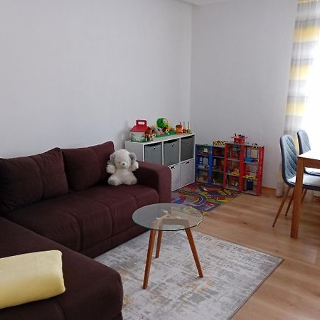 Ferienwohnung Mit Garten Und Spielplatz Klingenthal Dış mekan fotoğraf