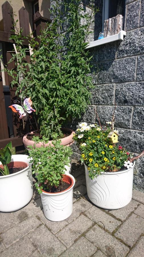 Ferienwohnung Mit Garten Und Spielplatz Klingenthal Dış mekan fotoğraf