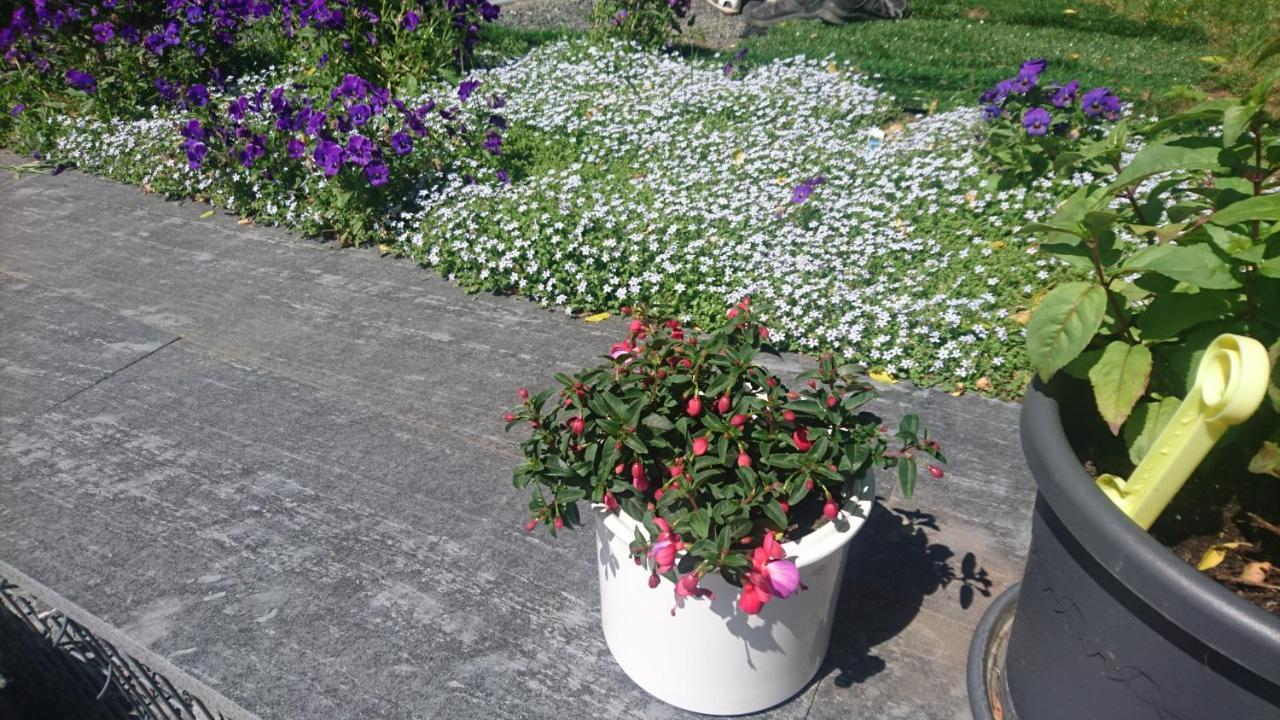 Ferienwohnung Mit Garten Und Spielplatz Klingenthal Dış mekan fotoğraf