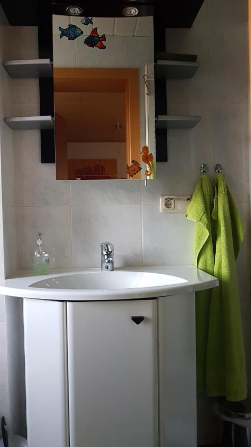Ferienwohnung Mit Garten Und Spielplatz Klingenthal Dış mekan fotoğraf