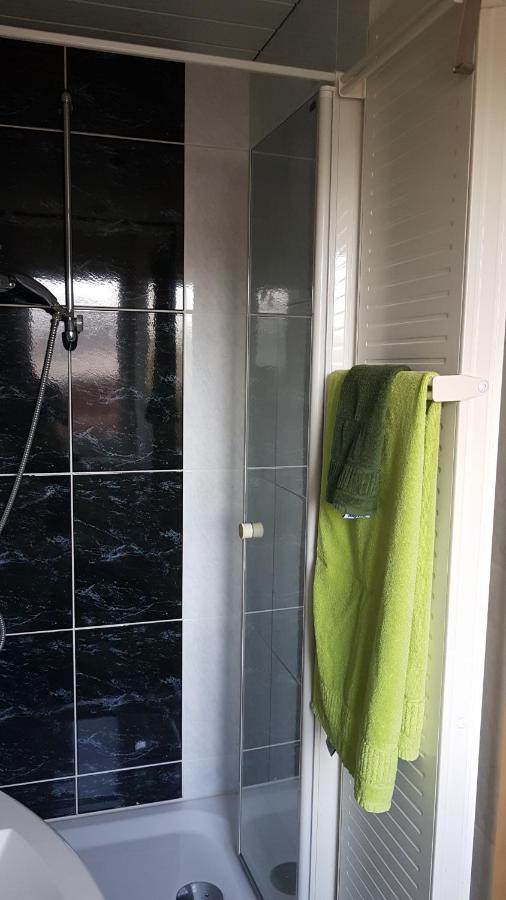 Ferienwohnung Mit Garten Und Spielplatz Klingenthal Dış mekan fotoğraf