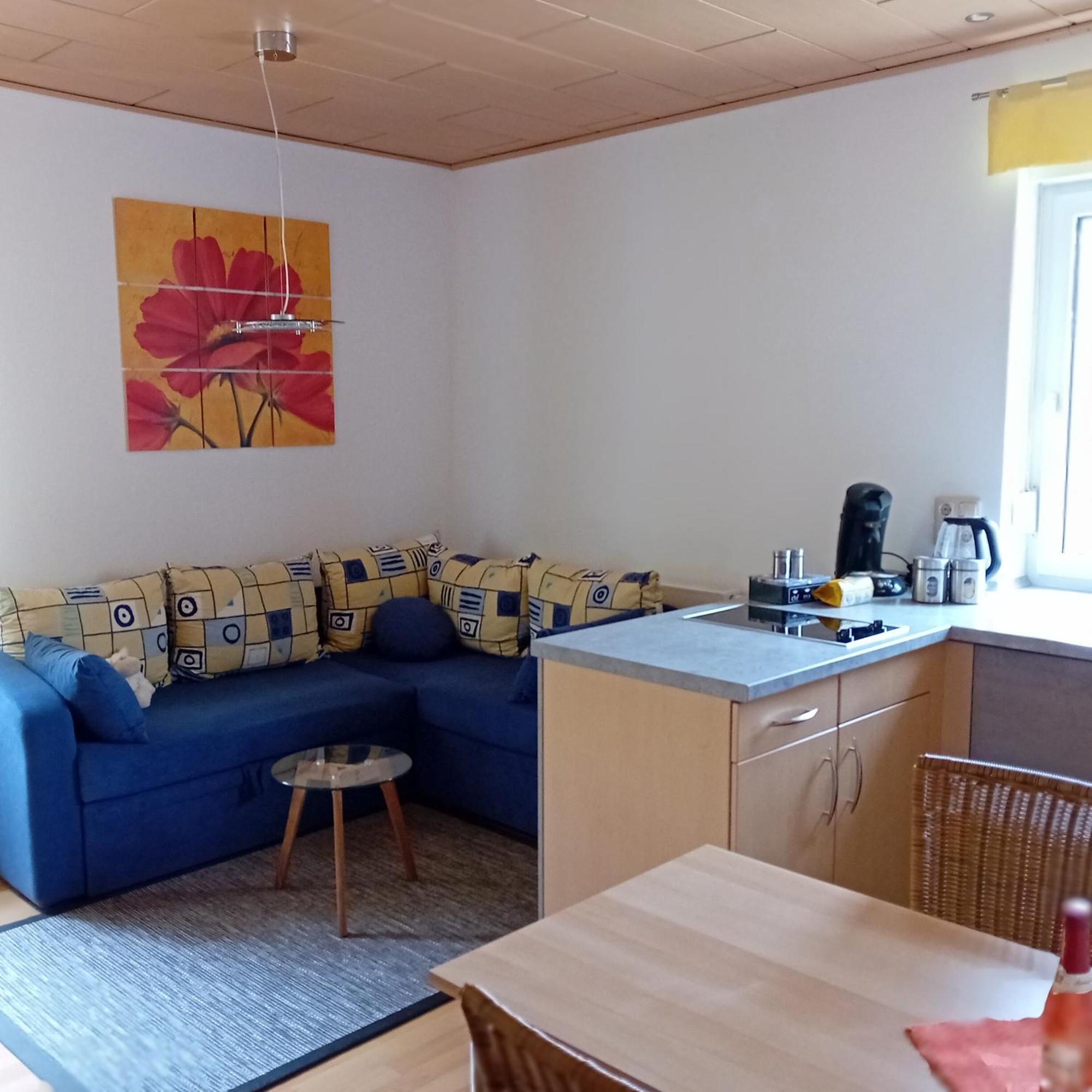 Ferienwohnung Mit Garten Und Spielplatz Klingenthal Dış mekan fotoğraf